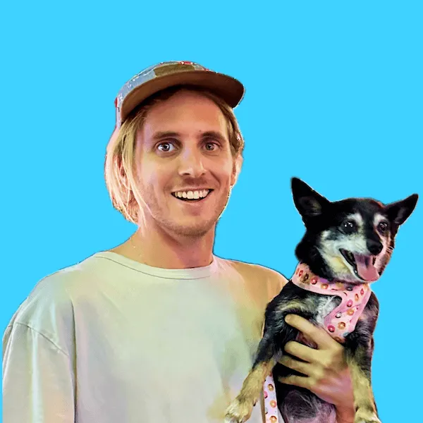 Steve's profile picture